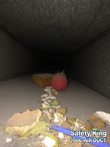 Before example showing dust and debris inside accessible ductwork